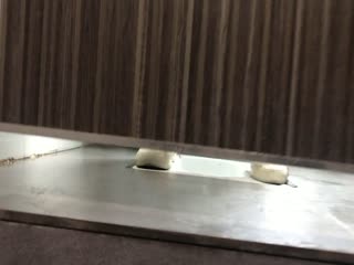 1.5K 36:14HD漂亮黑丝伪娘Cdwant 身材苗条皮肤白皙 被小哥从卫生间玩到床上 撅着屁屁猛怼 内射满屁穴