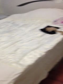 467 2:31上海研究生母狗 (5)