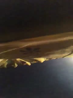 面試慘遭潛規則 原神雷電將軍COS 月野靜