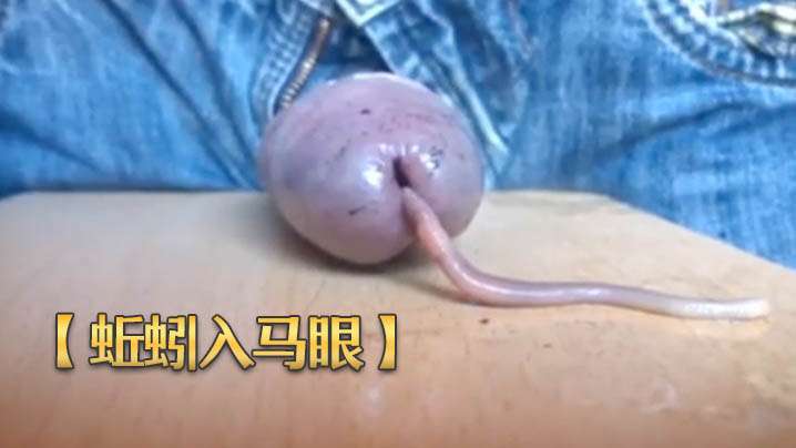 [亞洲無碼] 流出酒店偷拍学生情侣精壮小伙和甜美温柔女友啪啪三场后相拥而眠大学生 9V)[116 MP4 2800MB]