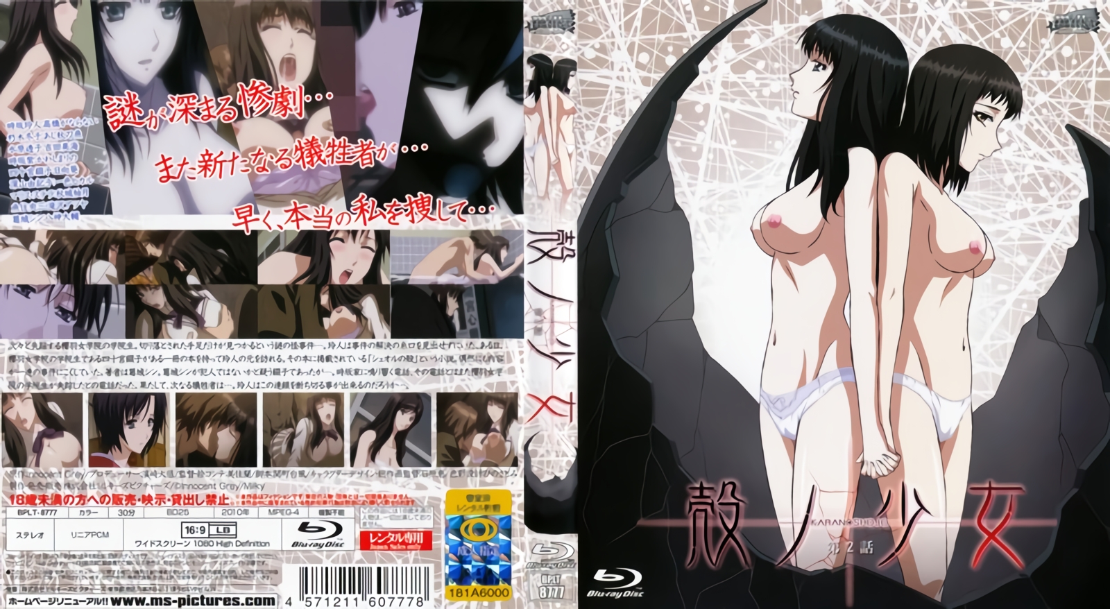 3A8A90C5 韩宝贝 20240717 Info Only