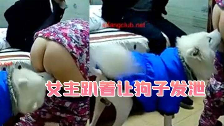 【免费福利】 【Nina】少妇的理想型，气质高雅，长的挺漂亮的，小贱母狗大奶子大屁股 [16:33]