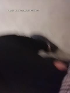 122125001 綾波里約，在門口吃掉快遞員的淫妻