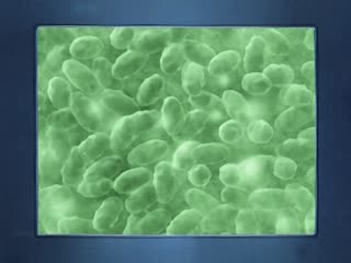 极品人妻骚脚狂撸肉棒，极致足交挑逗到高潮喷射！