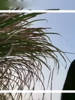 乱伦姐姐黑丝长腿堂姐和我乱伦偷情内射