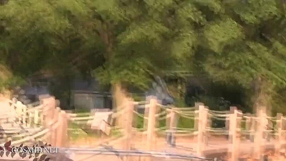 木瓜奶小姐姐自慰流白漿