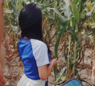 海角社区.去姥姥家给收玉米在地里与女儿野战姥姥贴心的给准备了垫子